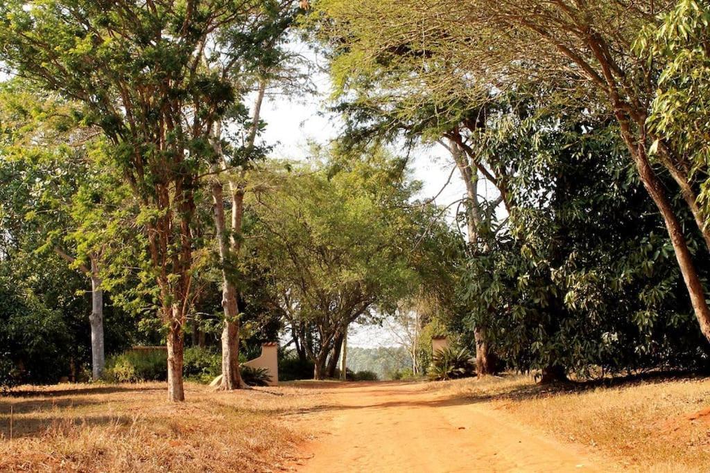 Boschoek Farm تزانين المظهر الخارجي الصورة